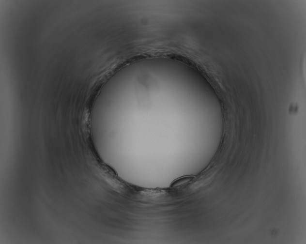 X0000091660480200708230955