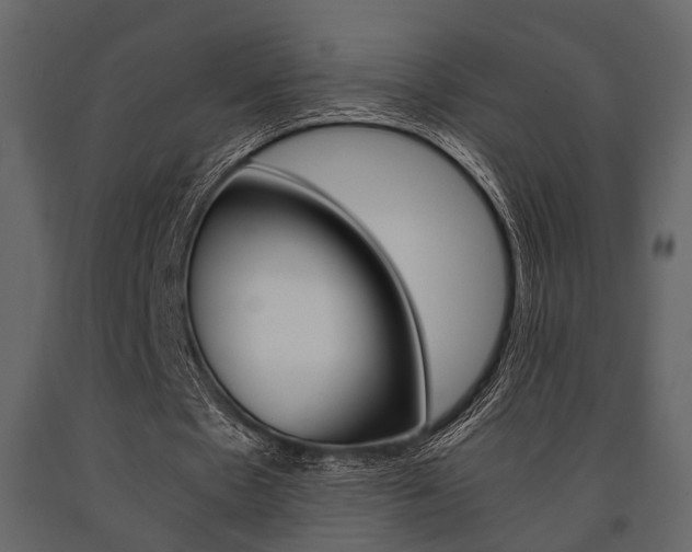X0000091660481200708230954