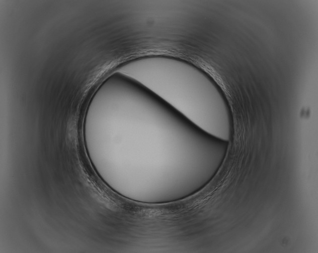 X0000091660482200708230954