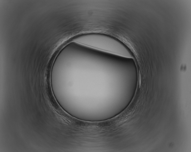 X0000091660483200708230954