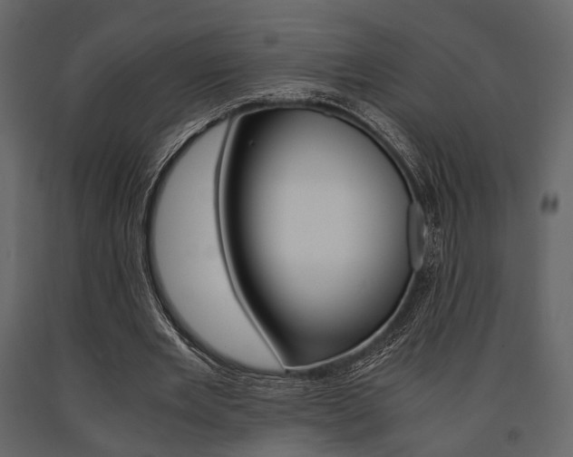 X0000091660485200708230954