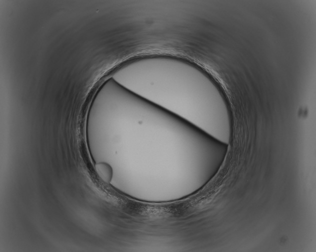 X0000091660487200708230954