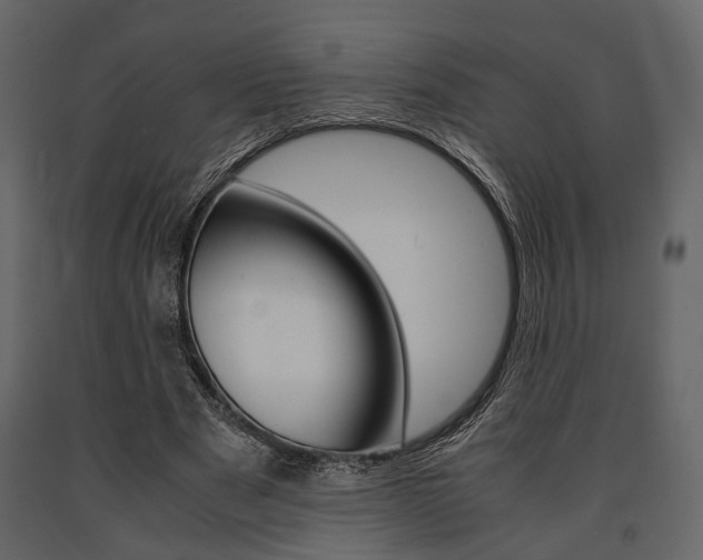 X0000091660489200708230954
