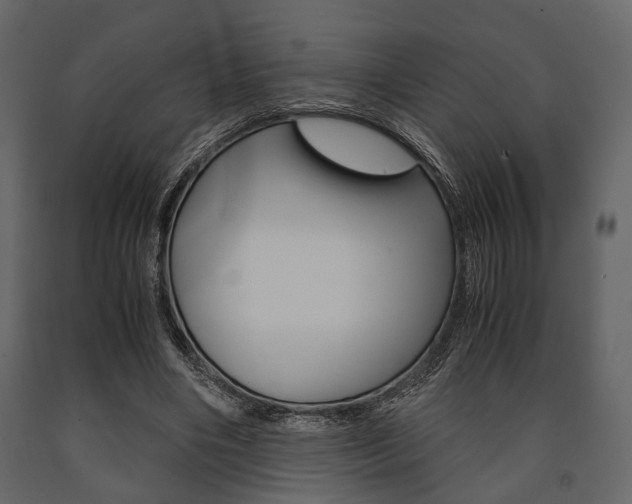 X0000091660490200708230954