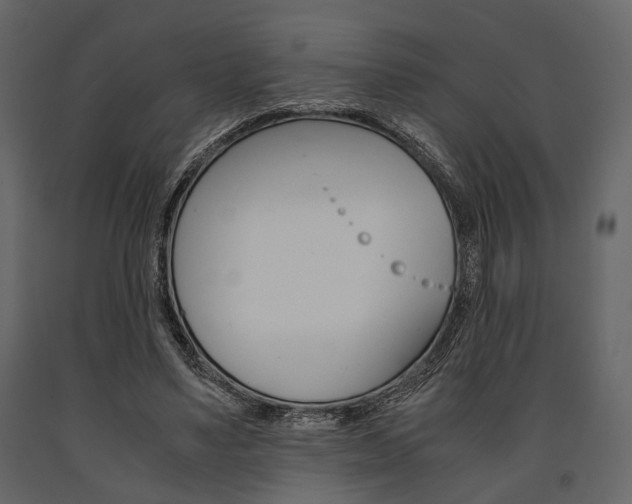 X0000091660491200708230954