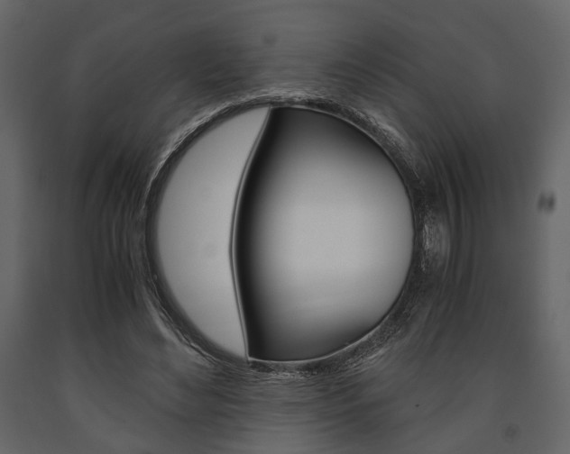 X0000091660492200708230954