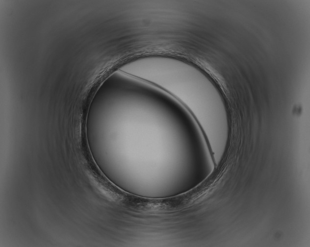 X0000091660493200708230954
