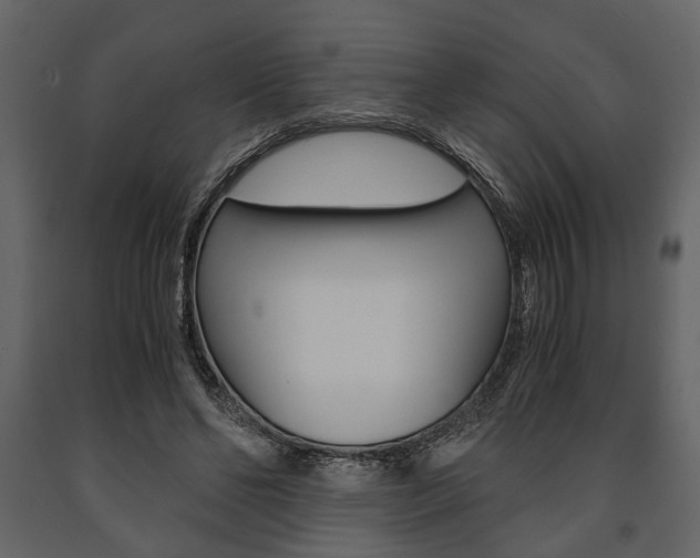 X0000091660494200708230954
