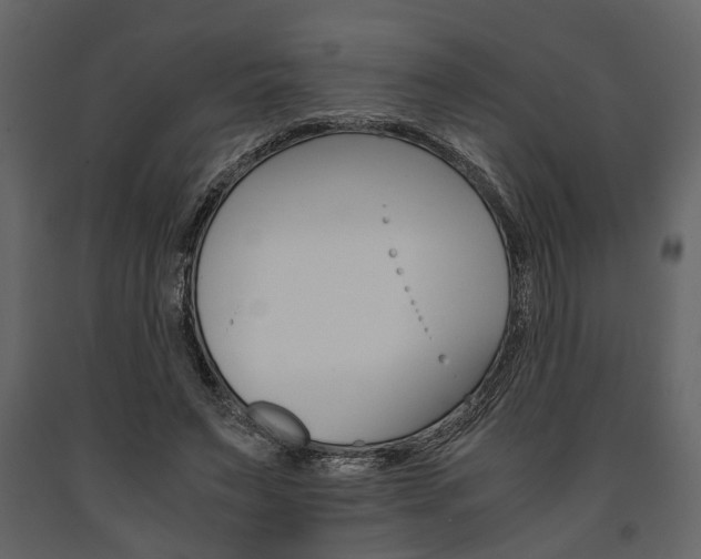 X0000091660495200708230954