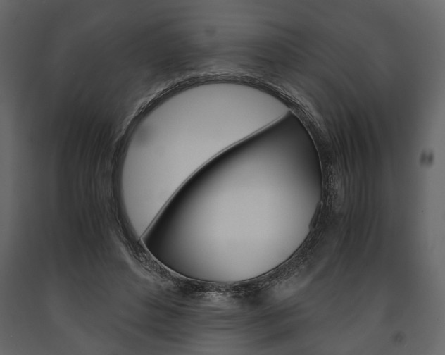 X0000091660496200708230954