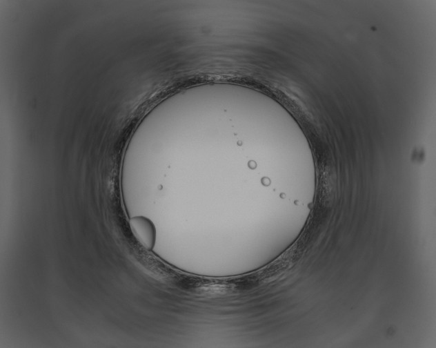 X0000091660499200708230954