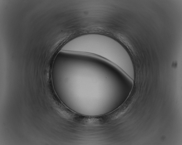 X0000091660501200708230954