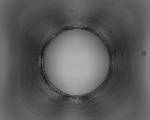 X0000091660502200708230954