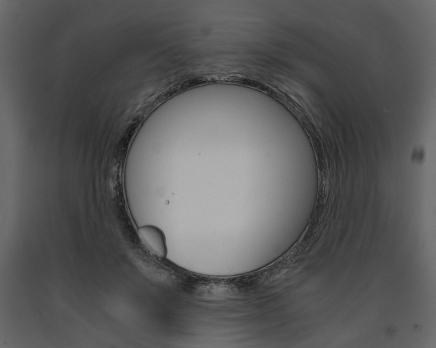 X0000091660503200708230954