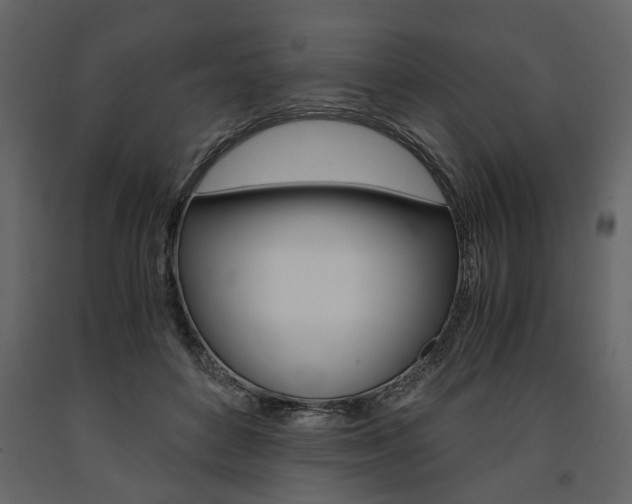 X0000091660504200708230954