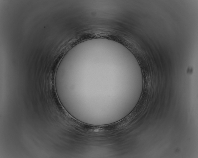 X0000091660506200708230954