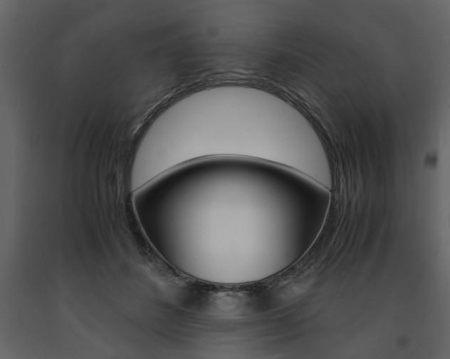 X0000091660508200708230954