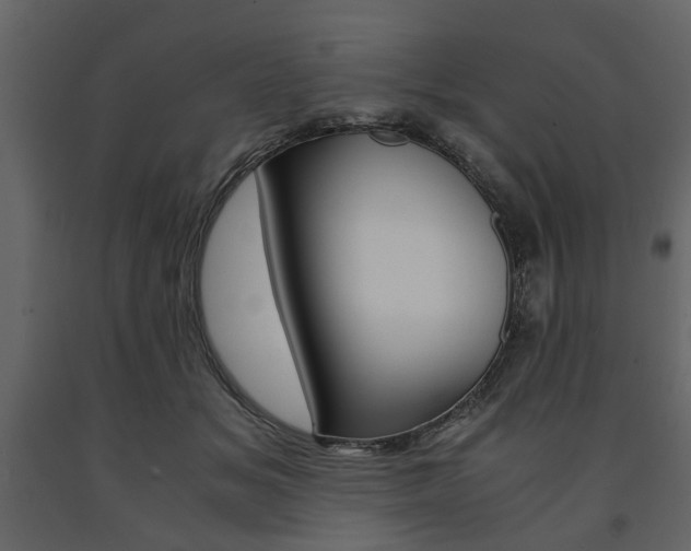 X0000091660509200708230954