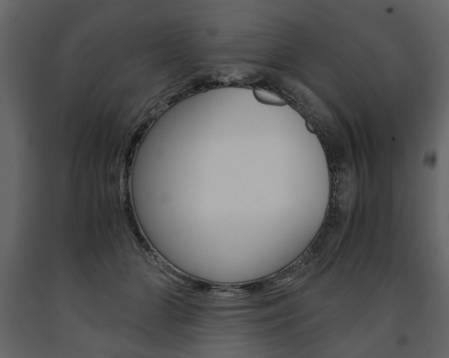 X0000091660510200708230954