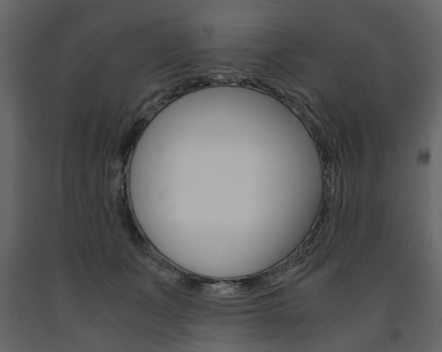 X0000091660511200708230954