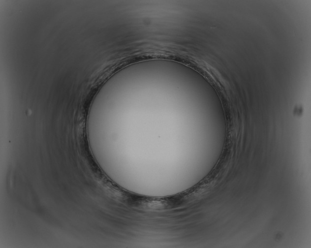 X0000091660513200708230954