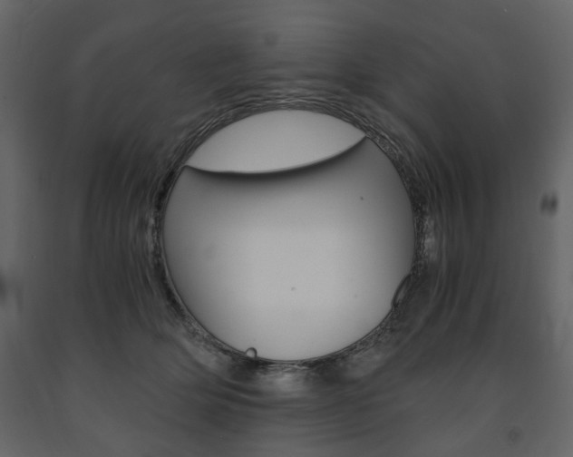 X0000091660514200708230954