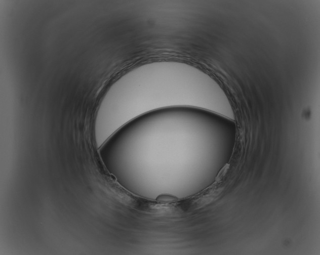 X0000091660516200708230954