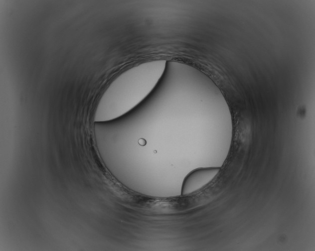 X0000091660518200708230954