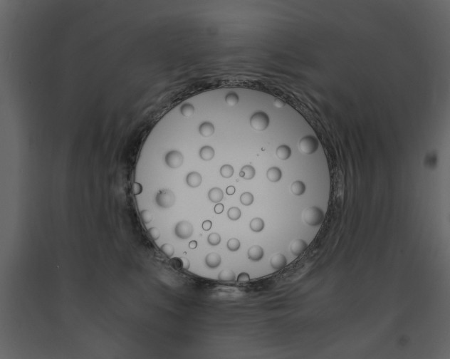 X0000091660519200708230954
