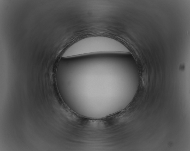X0000091660520200708230954