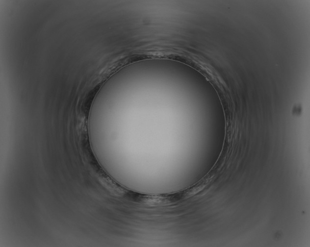 X0000091660521200708230954