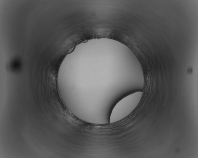 X0000091660522200708230953