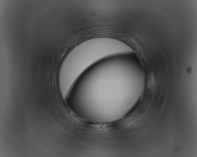 X0000091660524200708230953