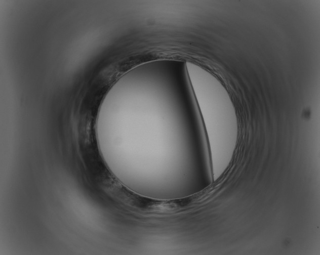 X0000091660525200708230953