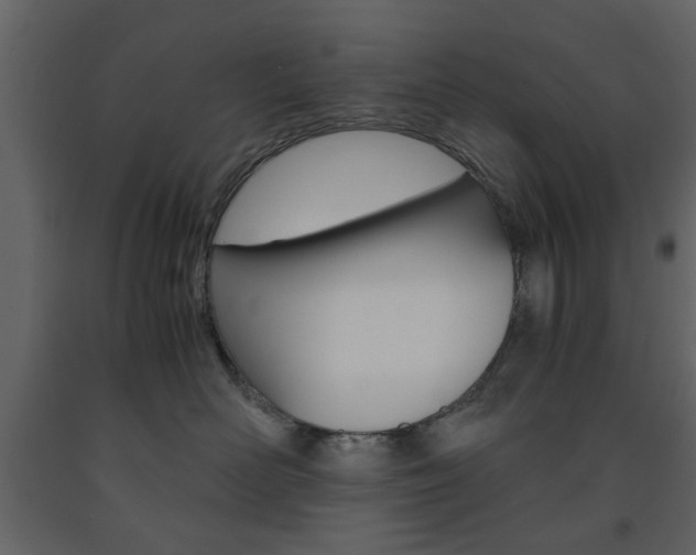 X0000091660526200708230953