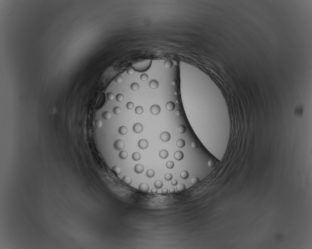 X0000091660527200708230953