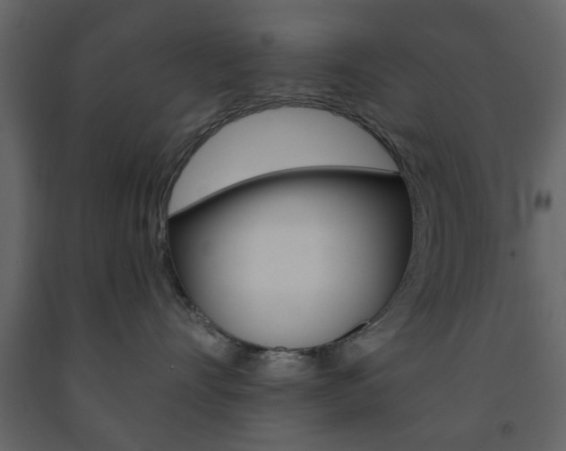 X0000091660528200708230953