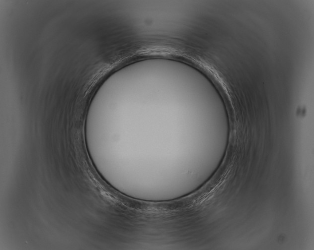 X0000091660529200708230953