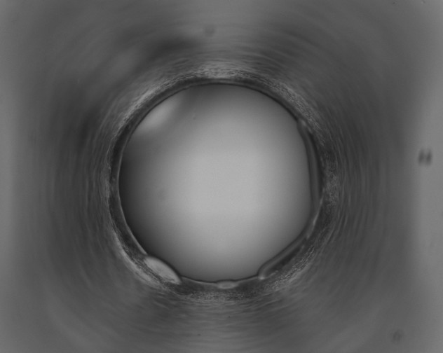 X0000091660530200708230953
