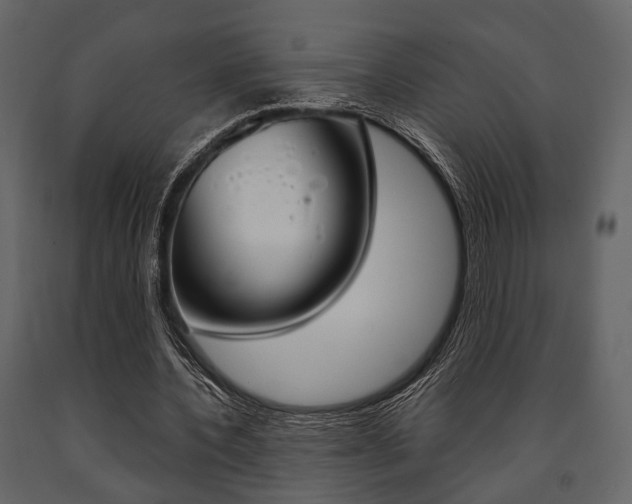 X0000091660532200708230953