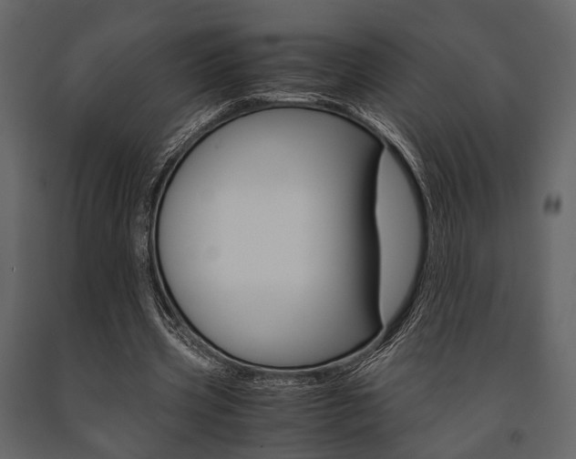 X0000091660533200708230953