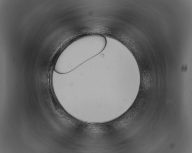 X0000091660534200708230953