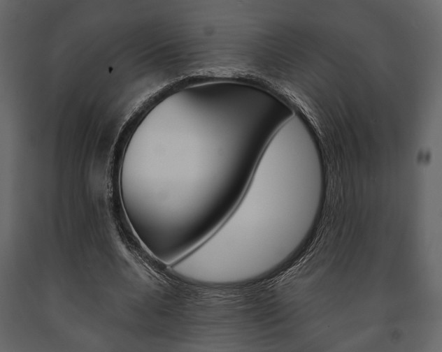 X0000091660536200708230953