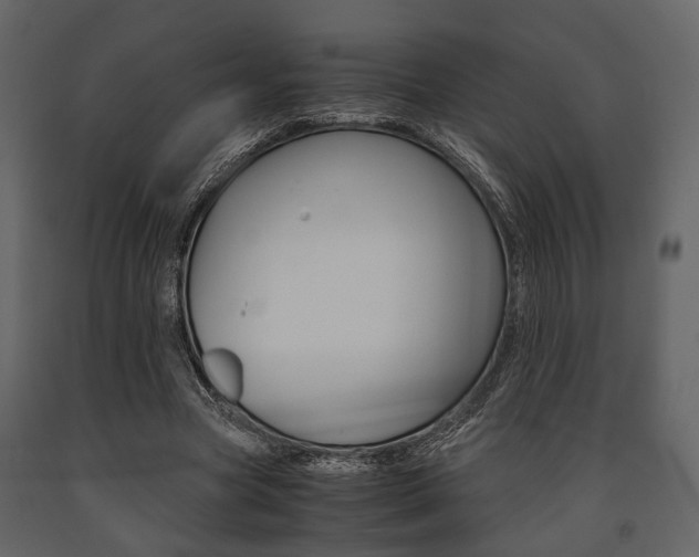 X0000091660537200708230953