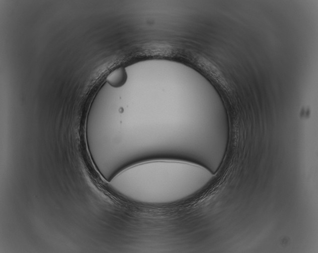 X0000091660538200708230953