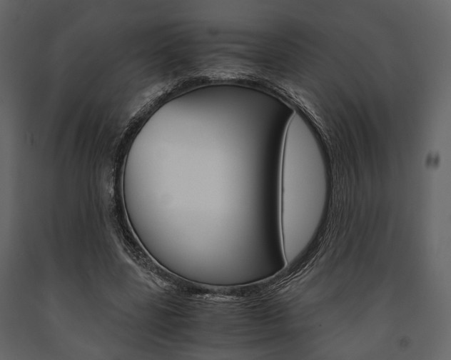 X0000091660539200708230953