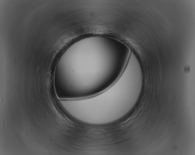 X0000091660540200708230953