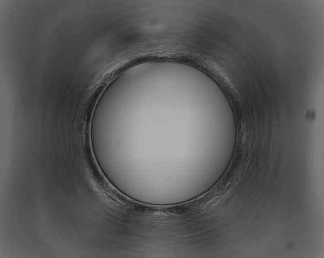 X0000091660542200708230953