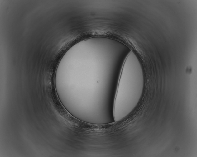 X0000091660543200708230953