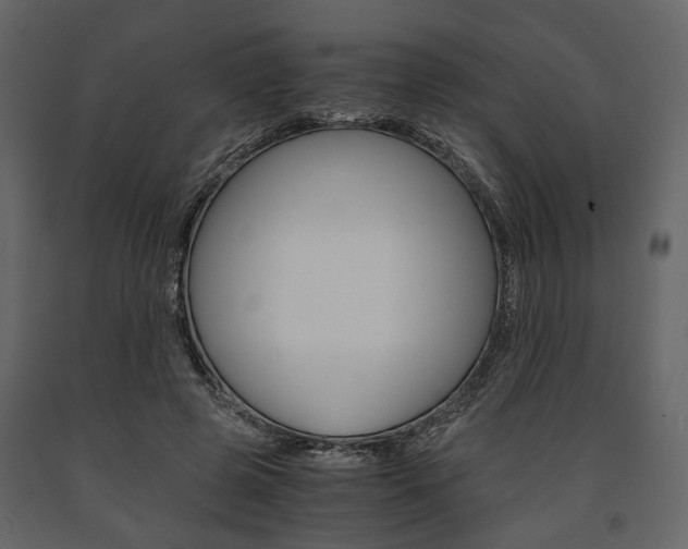 X0000091660545200708230953